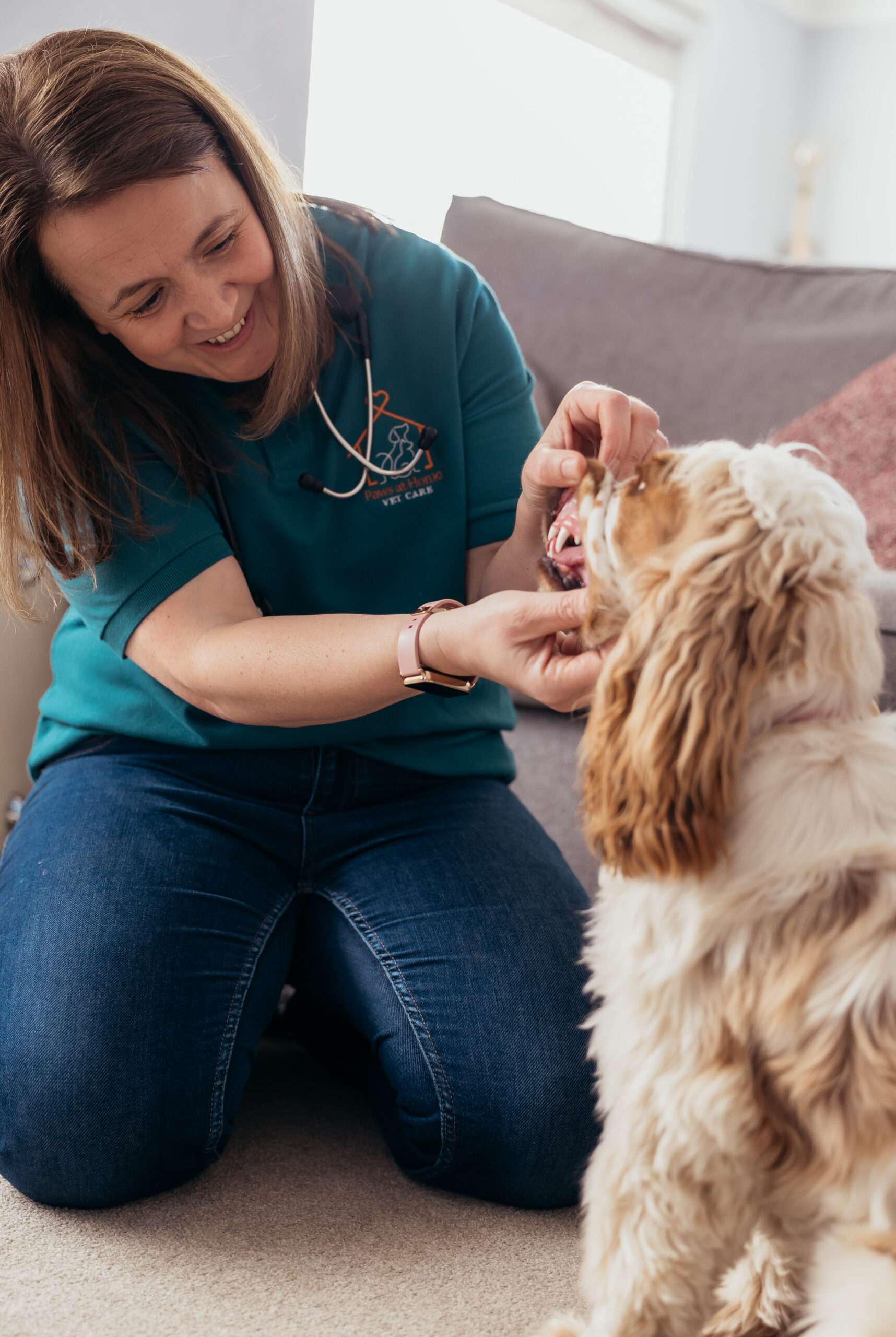 mobile vet vaccination service