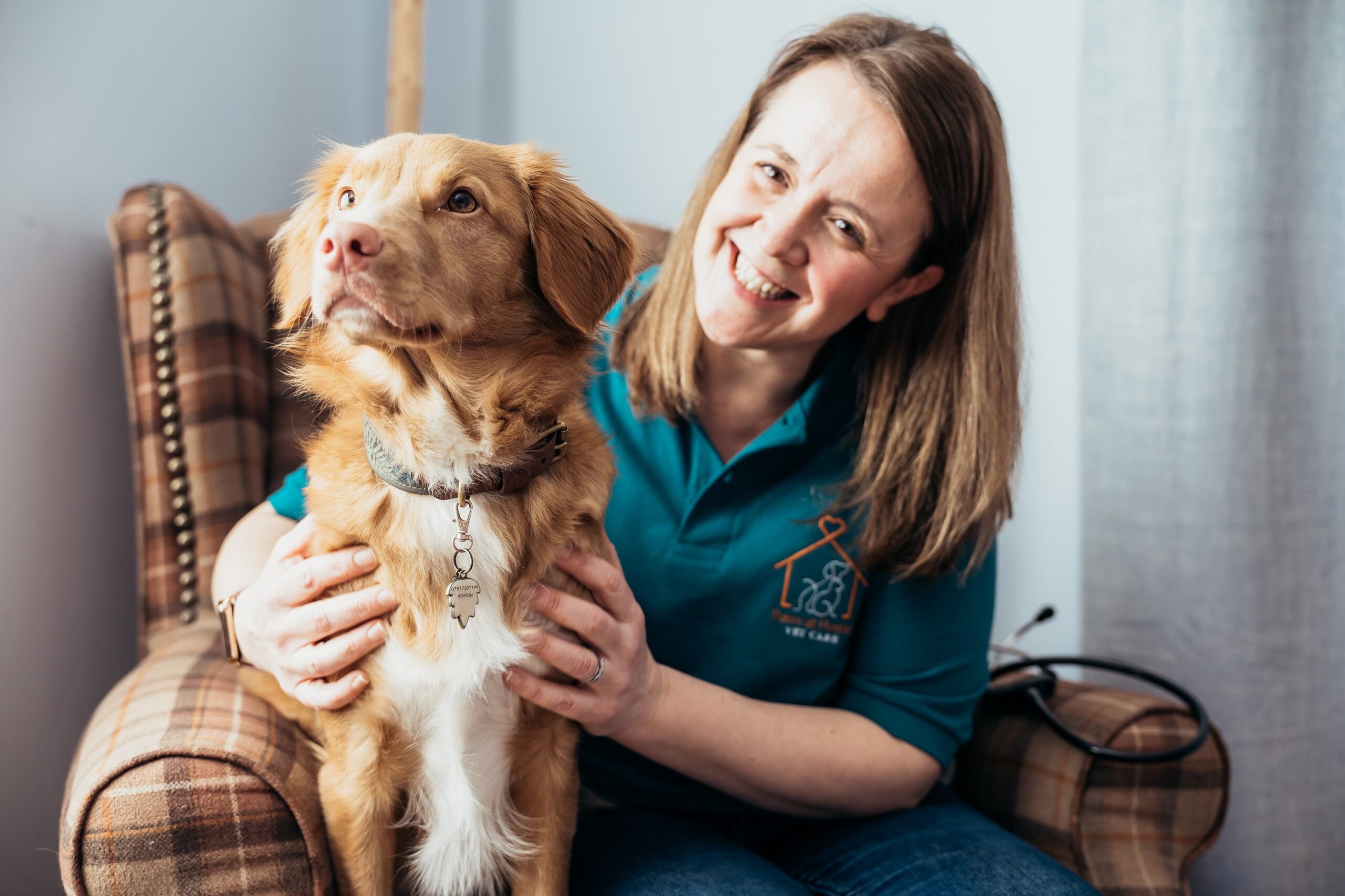 vets for pets