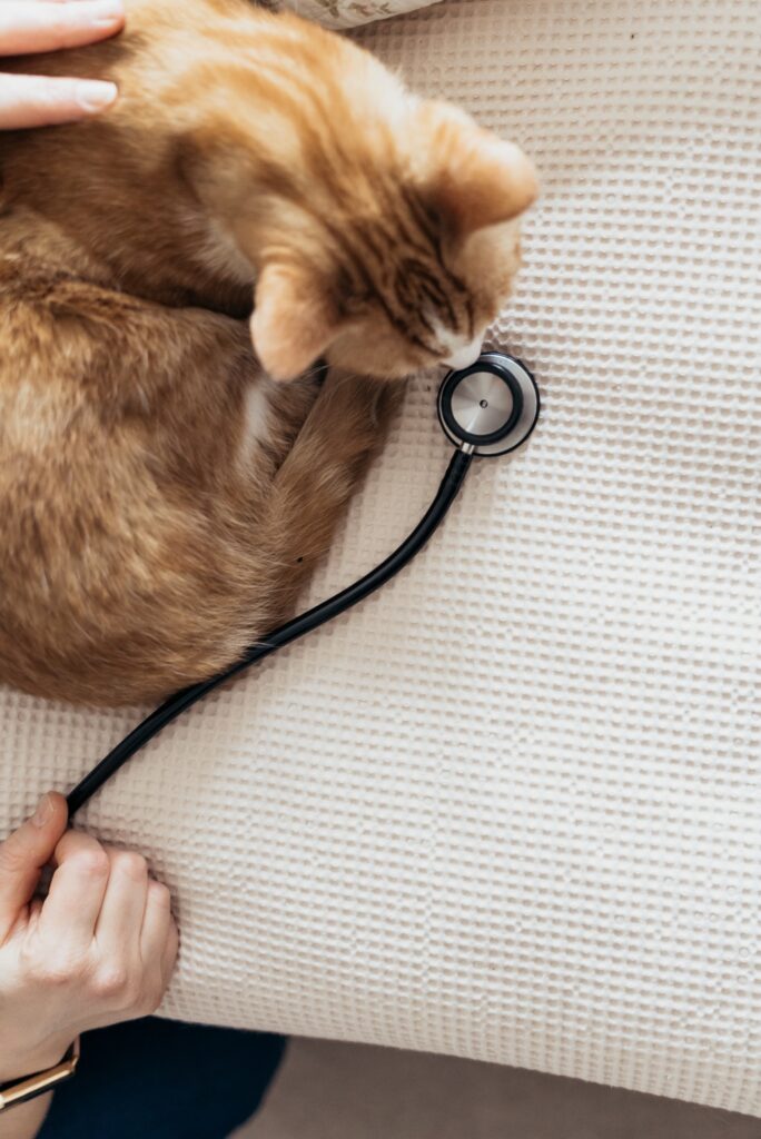 pet diagnostic center near me